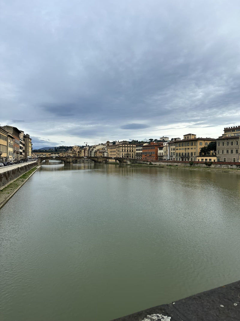 The Italian Journal