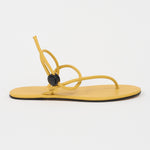 The String Theory in Sunny