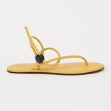 The String Theory in Sunny