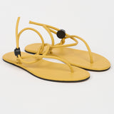 The String Theory in Sunny