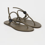 The String Theory in Olive