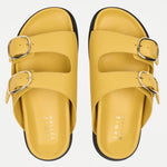 The Bumper Slide in Sunny