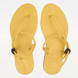 The String Theory in Sunny