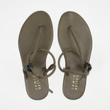 The String Theory in Olive