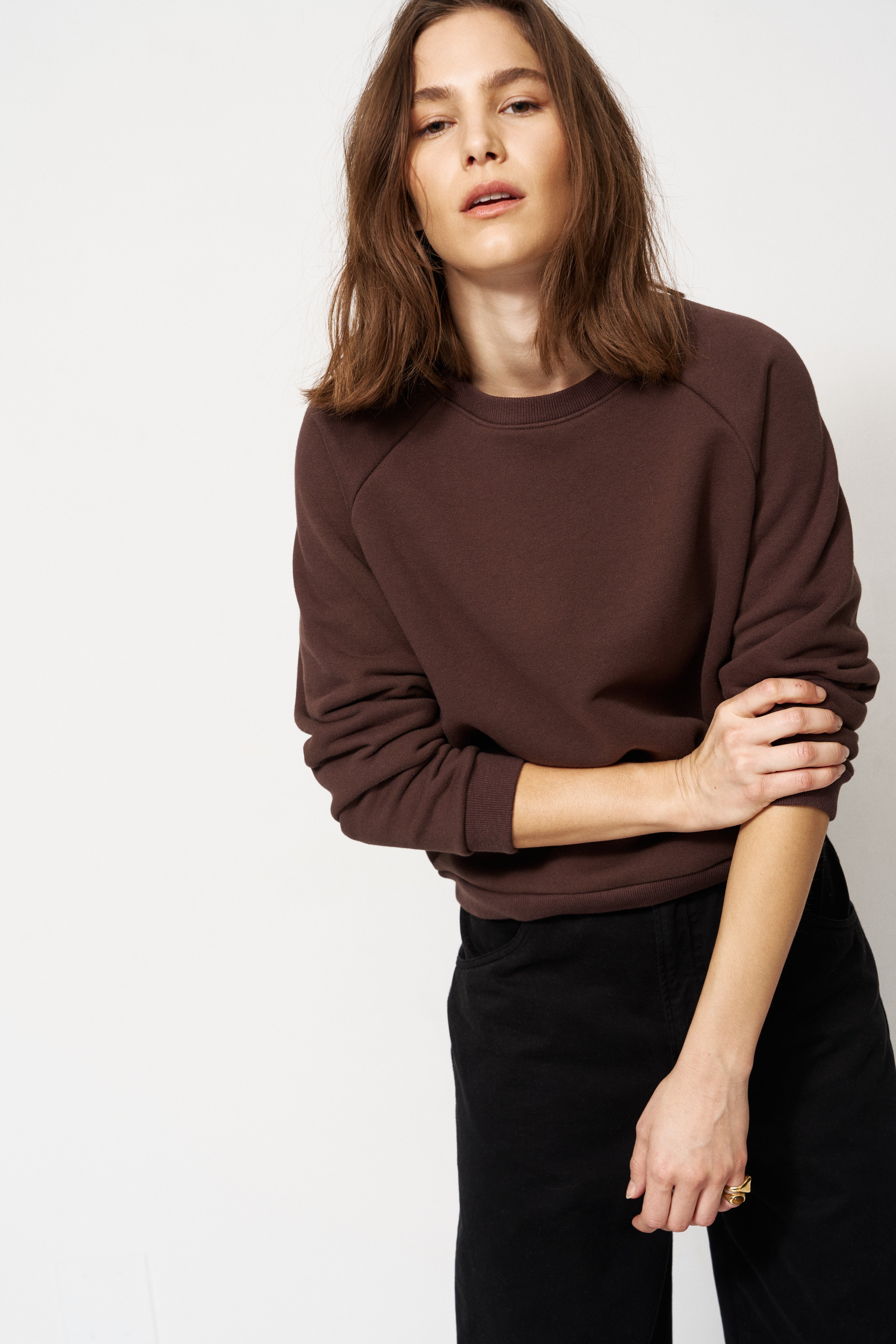 The Daily Sweatshirt in Brown