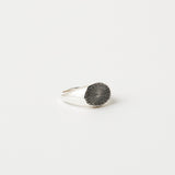 The Chaos Sunburst Oval Signet in Sterling Silver