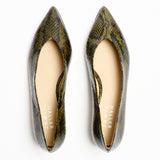 The Trap Pump in Olive