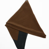 The Border Silk Scarf in JH Signature Stripe