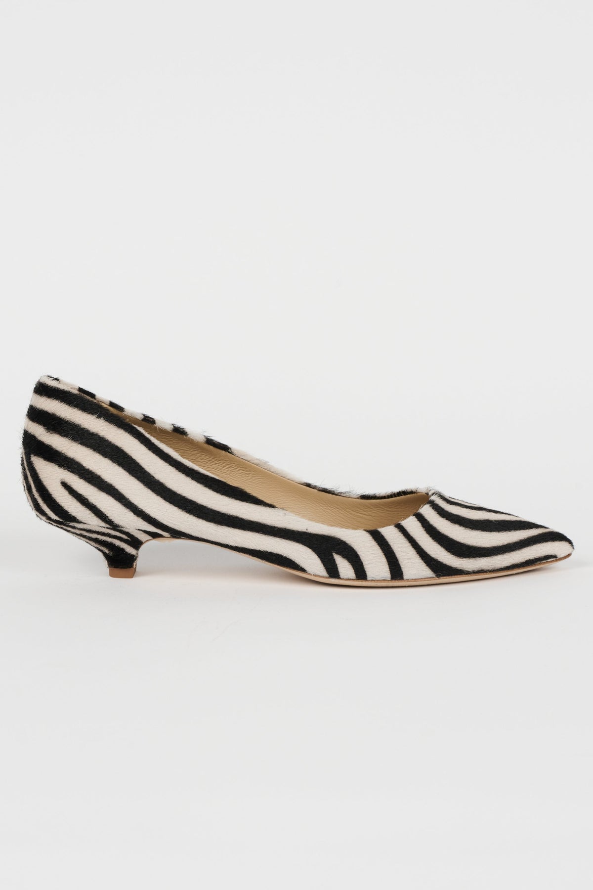 The Kitty Point in Ponyhair Zebra