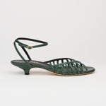 The Caged Kitty in Green Snake