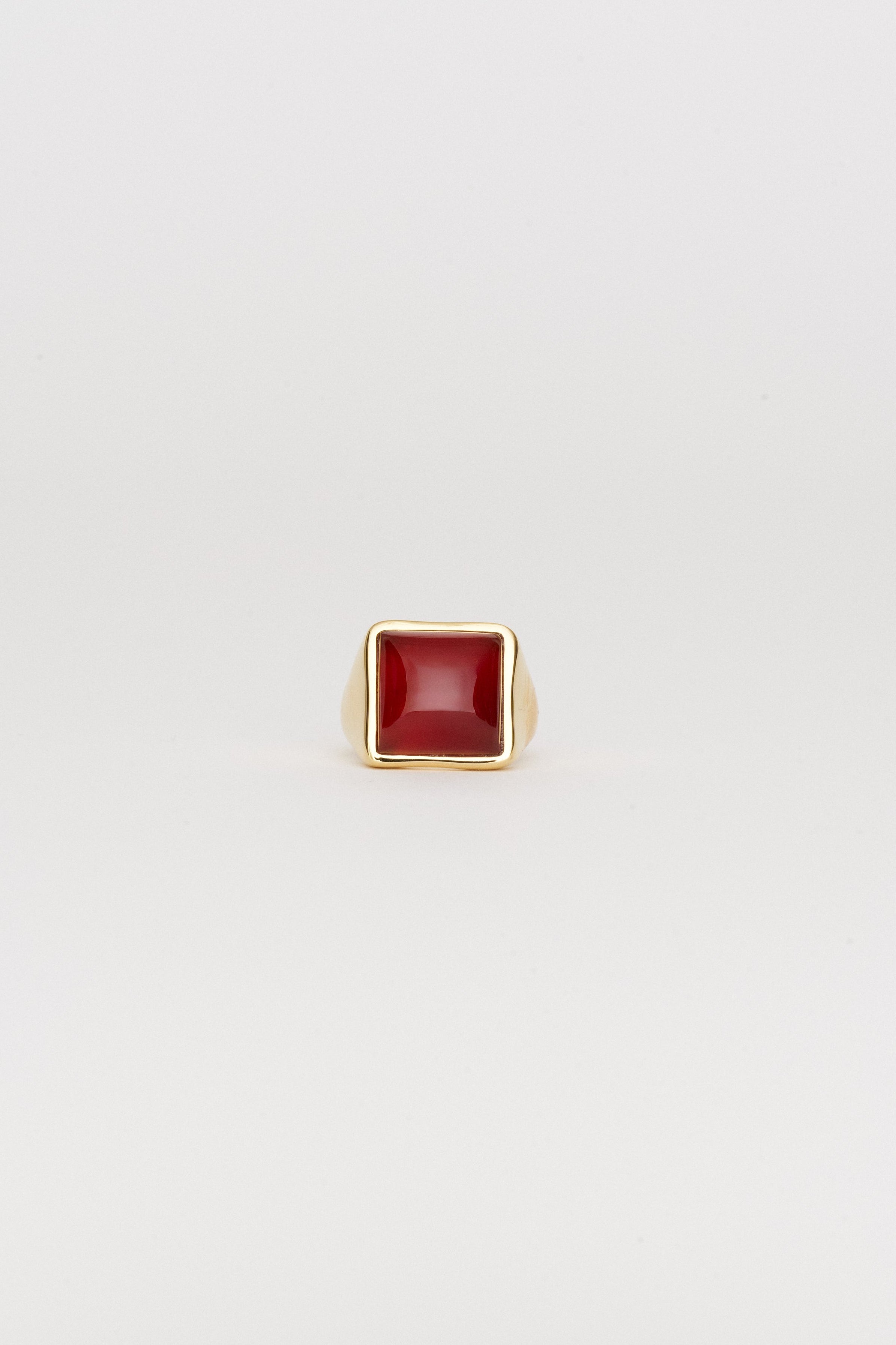 The Luques Square Signet Ring in Red Agate