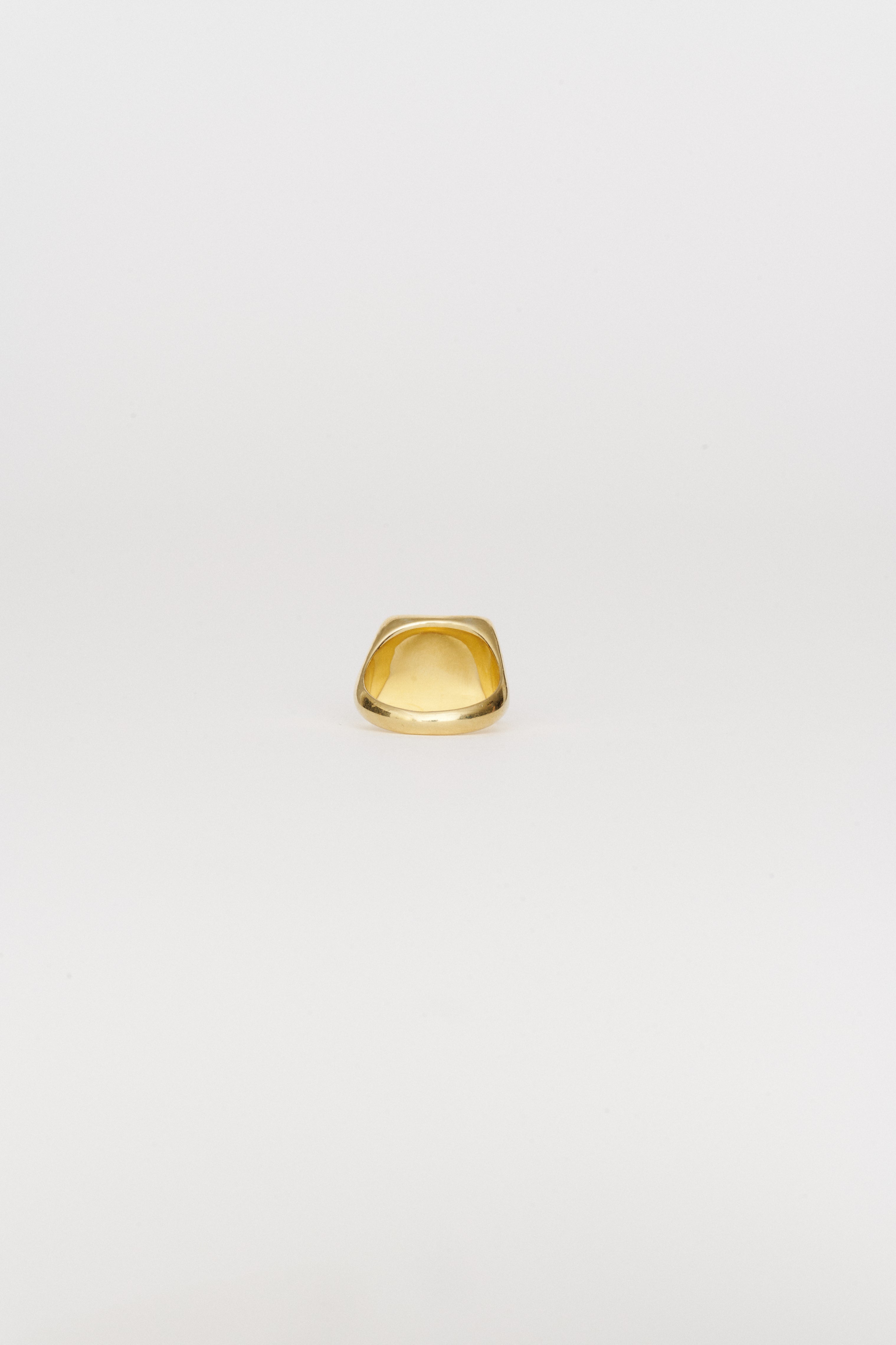 The Nina Flat Signet Ring in Red Jasper