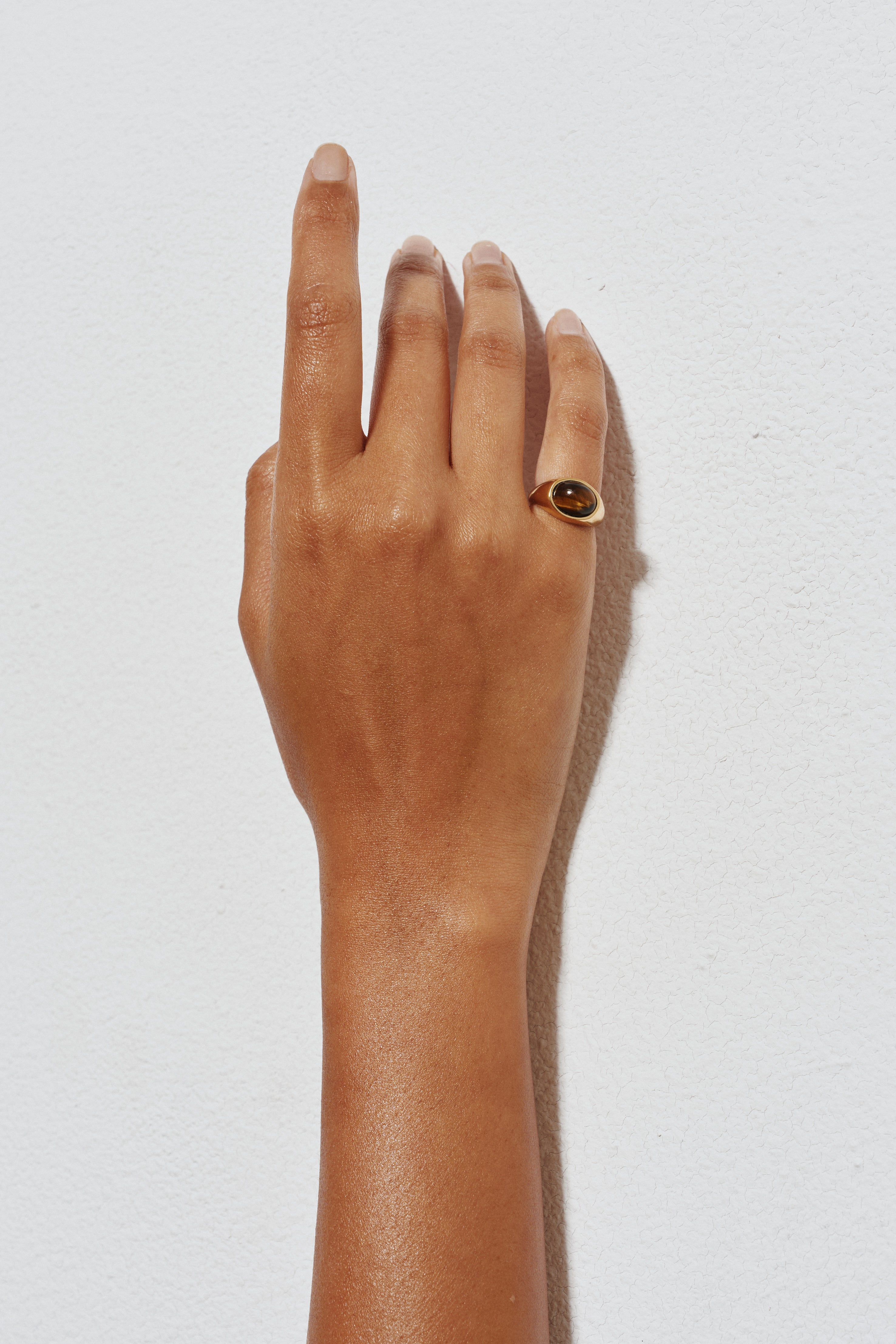 The Francis Oval Signet Ring in Tigers Eye