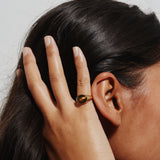The Francis Oval Signet Ring in Tigers Eye