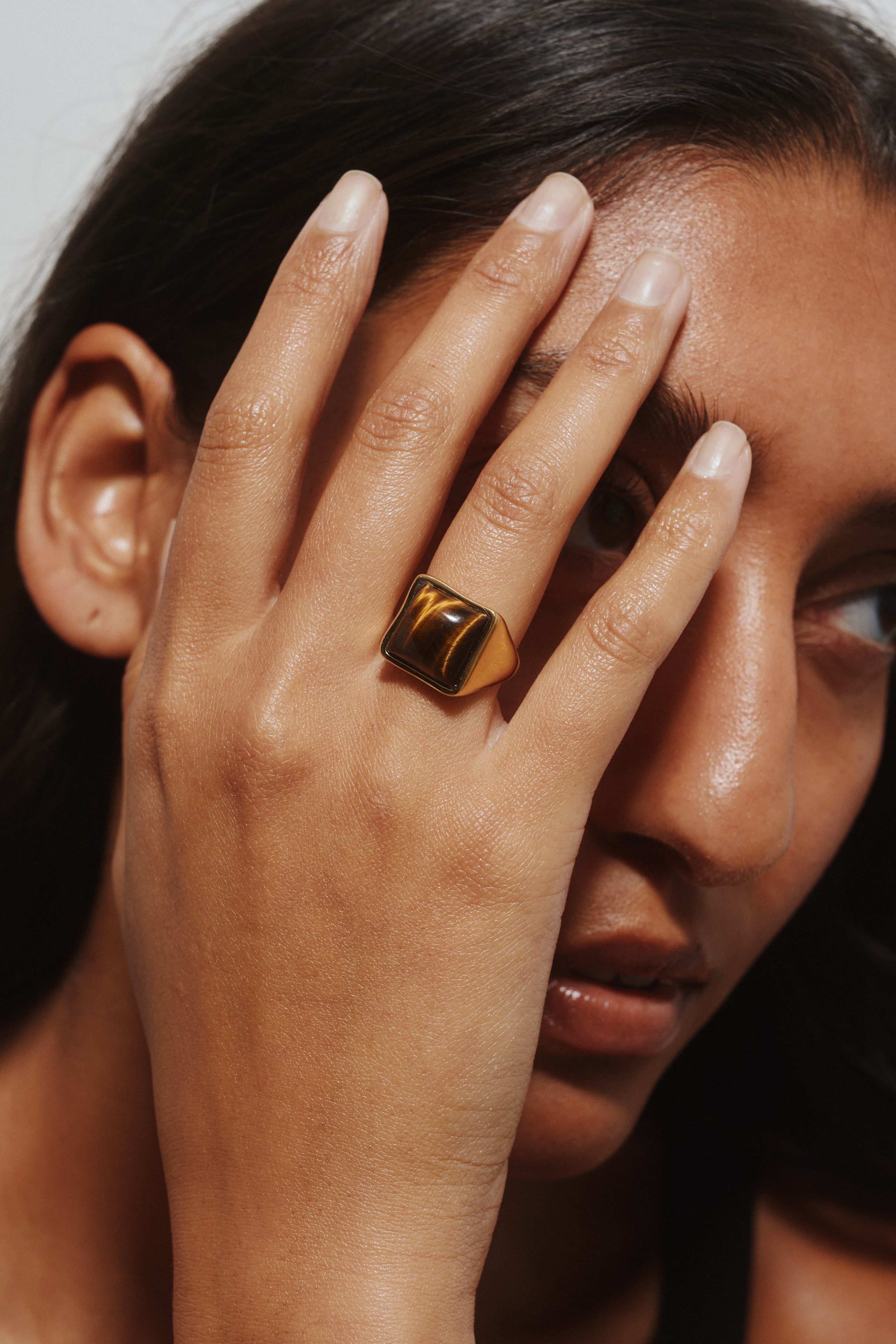The Luques Square Signet Ring in Tigers Eye