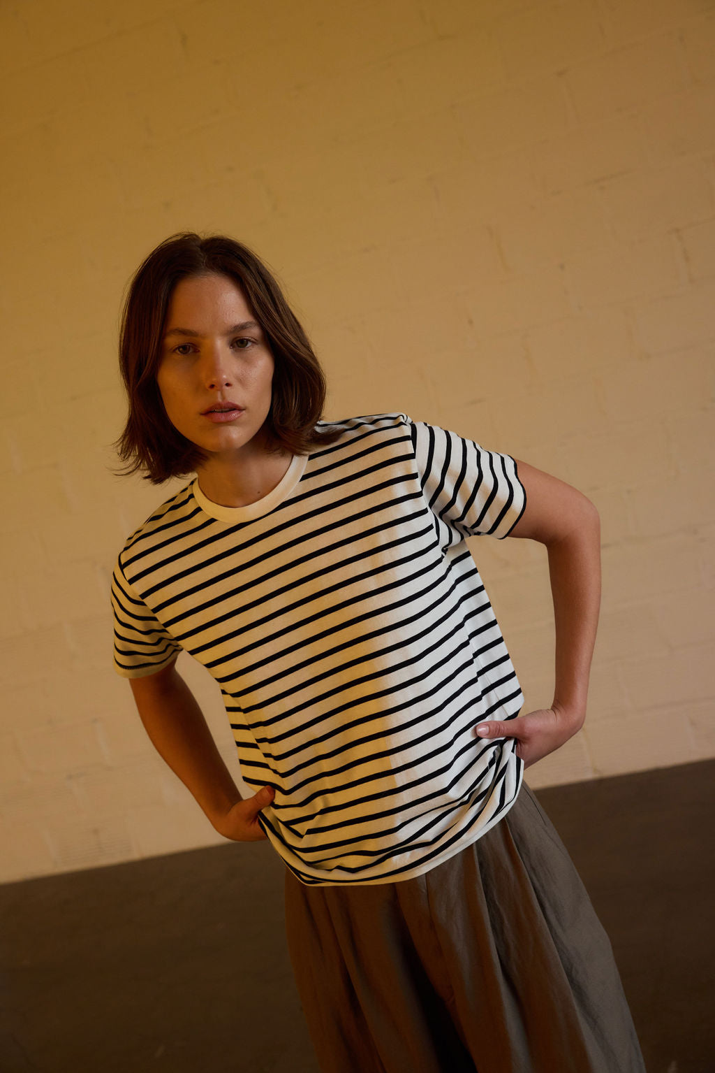 The Chameleon Tee in White Black Stripe