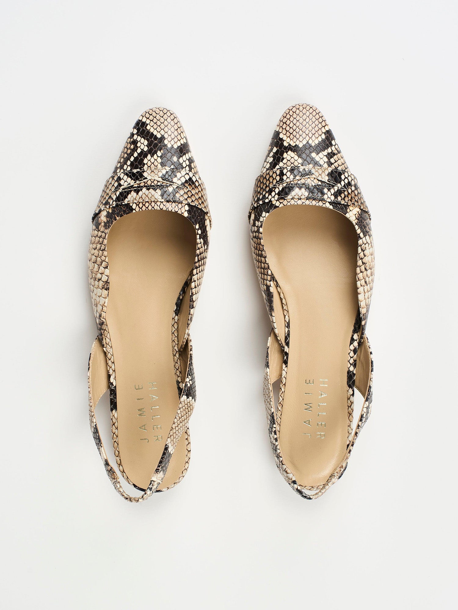 The Slingback in Python - Jamie Haller